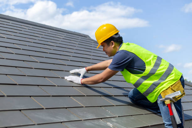 Best Roof Maintenance Services  in Zebulon, NC