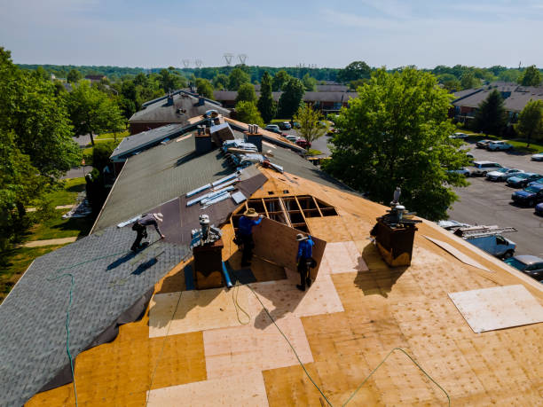 Professional Roofing Contractor in Zebulon, NC
