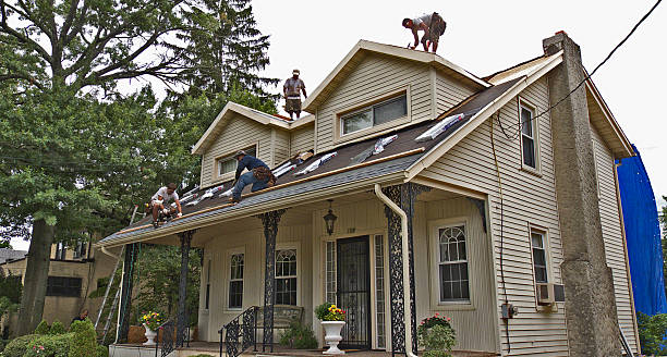 Best Metal Roofing Contractor  in Zebulon, NC